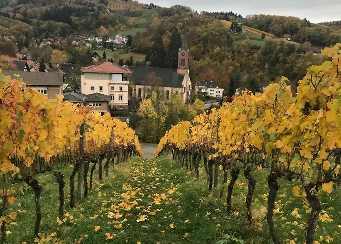 Renatas Maria 萨巴赫瓦登