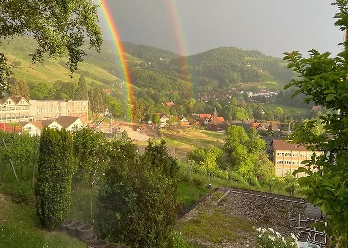 Renatas Maria 萨巴赫瓦登