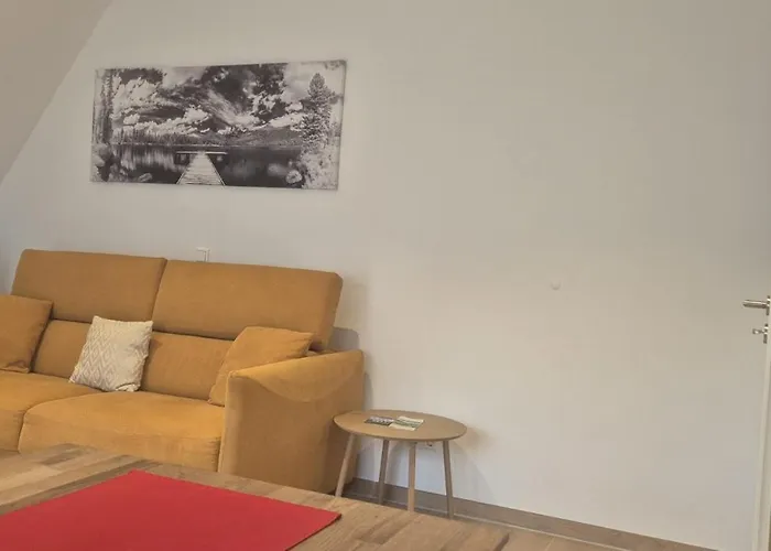 Renatas Maria * 萨巴赫瓦登