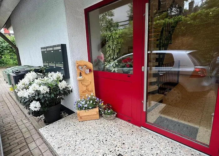 Renatas Maria * 萨巴赫瓦登