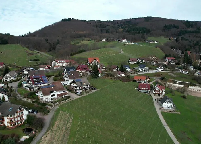 Renatas Maria * 萨巴赫瓦登