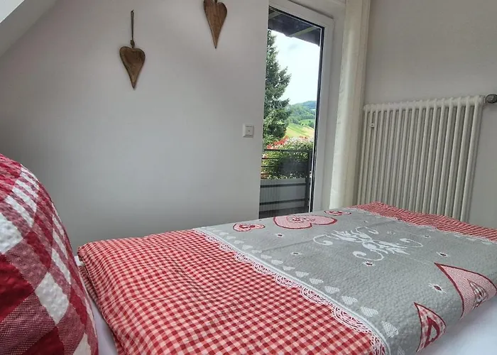 Renatas Maria 公寓 萨巴赫瓦登